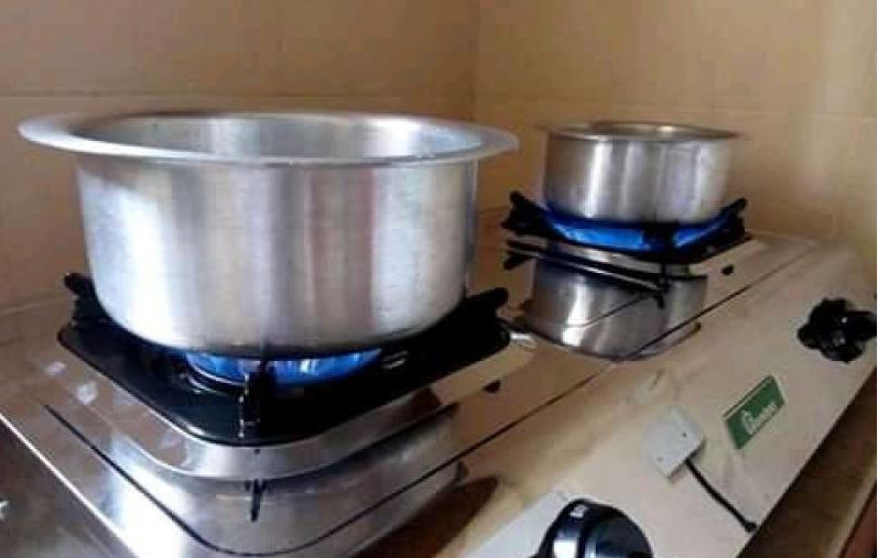 How varsity student makes biogas using black soldier fly