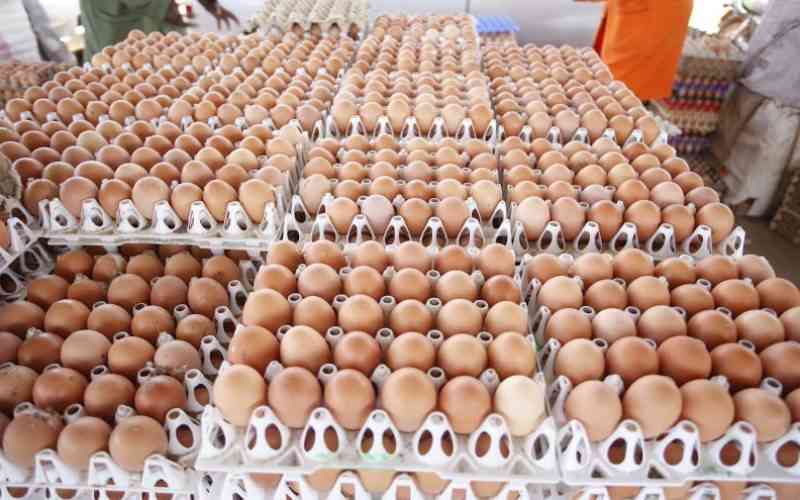 How farmers can grow egg markets
