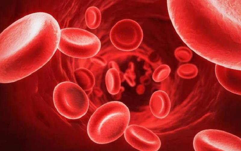 Haemophilia: Unveiling the bleeding disease