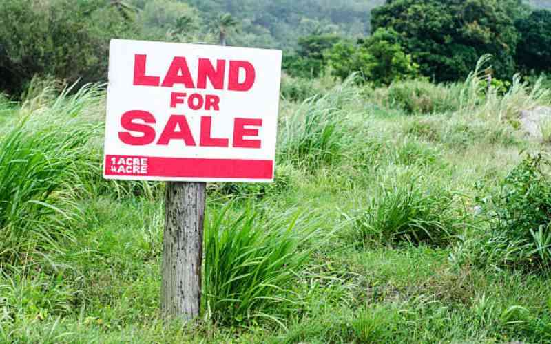Wave of multi-billion-shilling land fraud hits Coast region