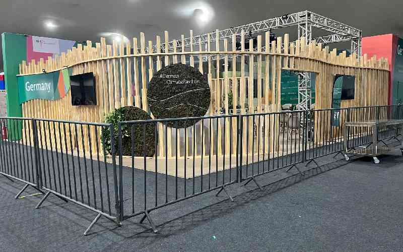 COP30: Reasons climate billions do not get to Africa frontlines