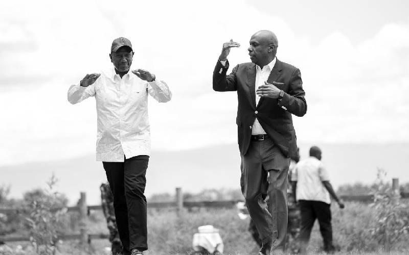 Ruto-Moi handshake: Why Rift Valley is shaken