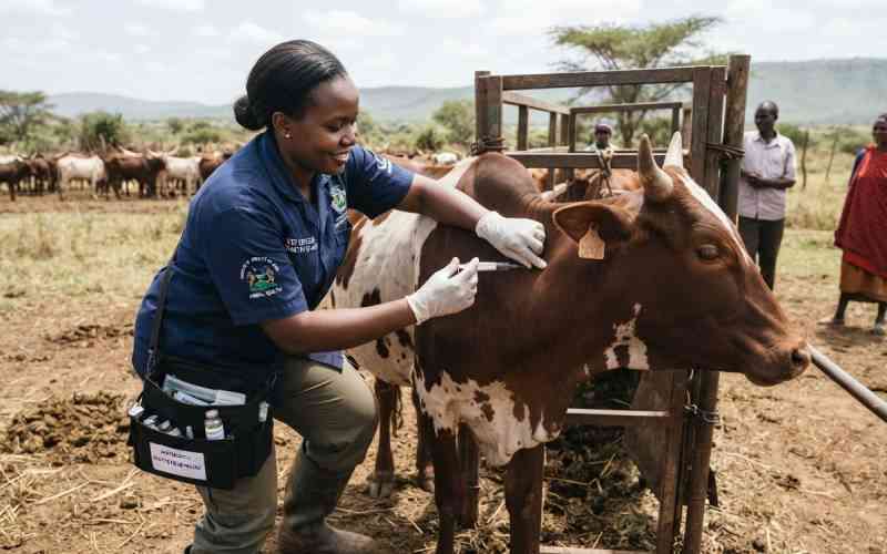 Farmers at the heart of antimicrobial resistance fight