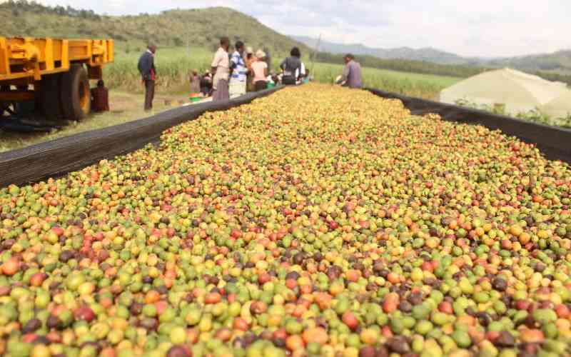 Licensing dispute pits big coffee companies against farmers' lobby