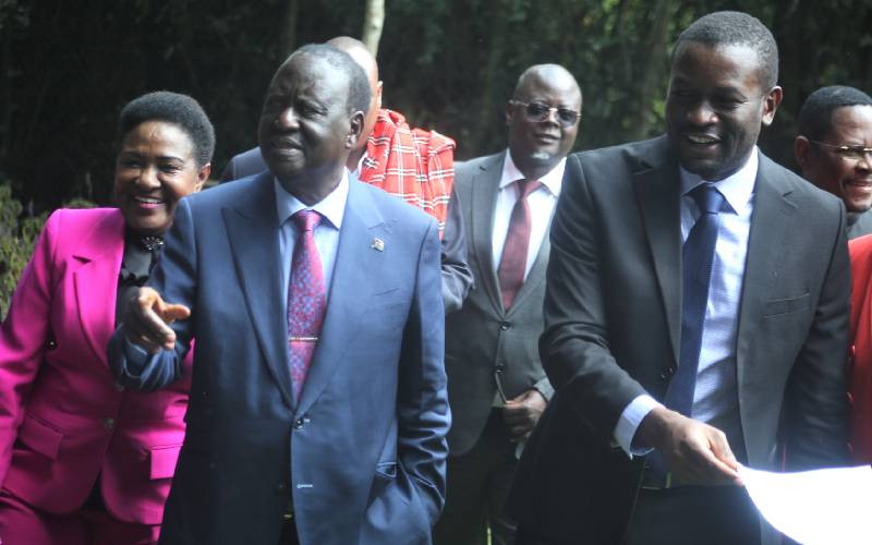 Raila allies call for shift to 'consensus democracy' sparks a political storm