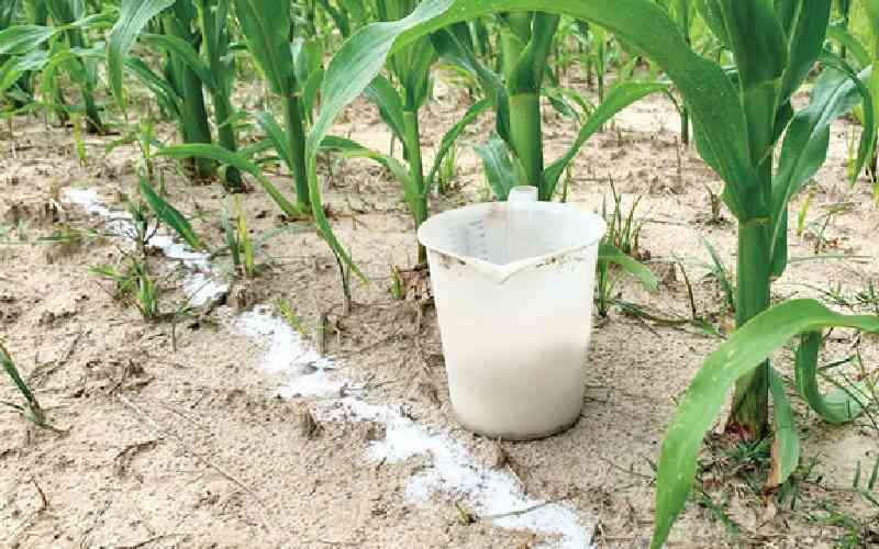 Harnessing devolution to transform agriculture