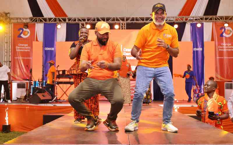 Zoning debate threatens UDA-ODM harmony on the Coast