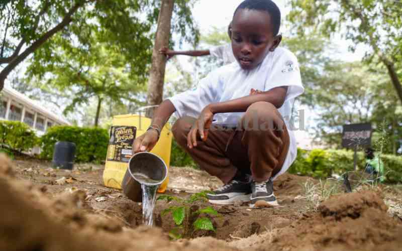 Let's cultivate a generation of tree-planting champions
