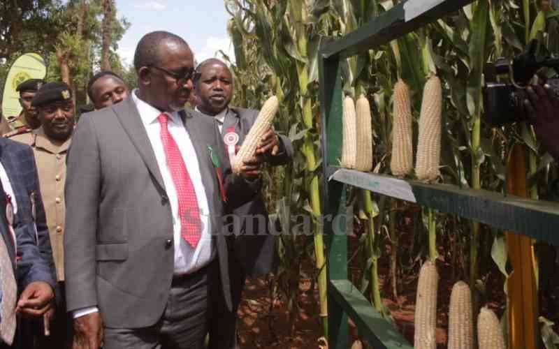 Mithika Linturi visits farmers on fact finding mission