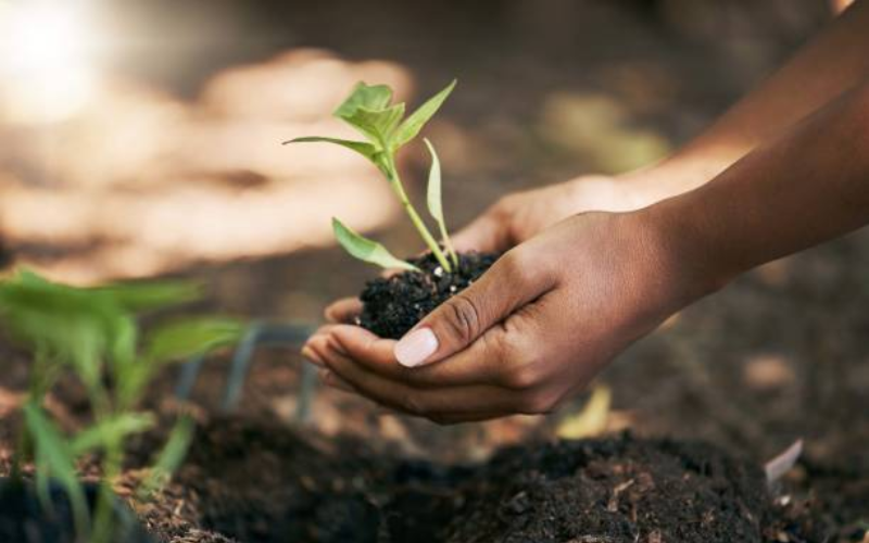 Nairobi to host Africa Climate Investment Summit ahead of COP30 in Brazil