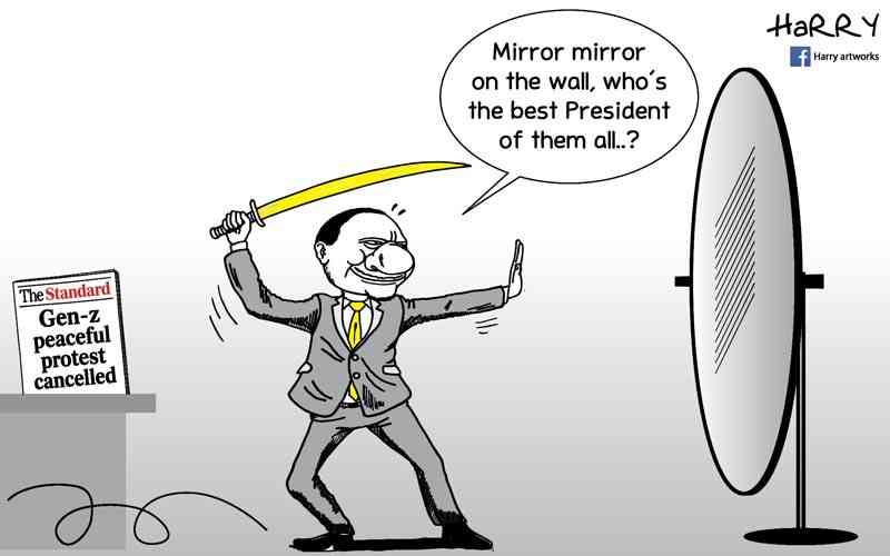Mirror mirror on the wall...