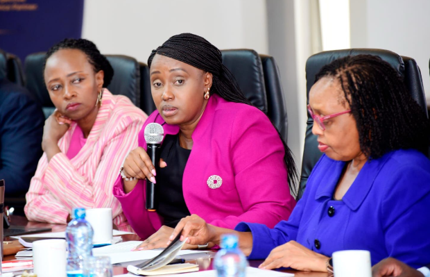 Digital credit targets 5,000 herders in financing push