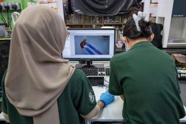 Malaysian scientists discover how bed bugs could help catch criminals