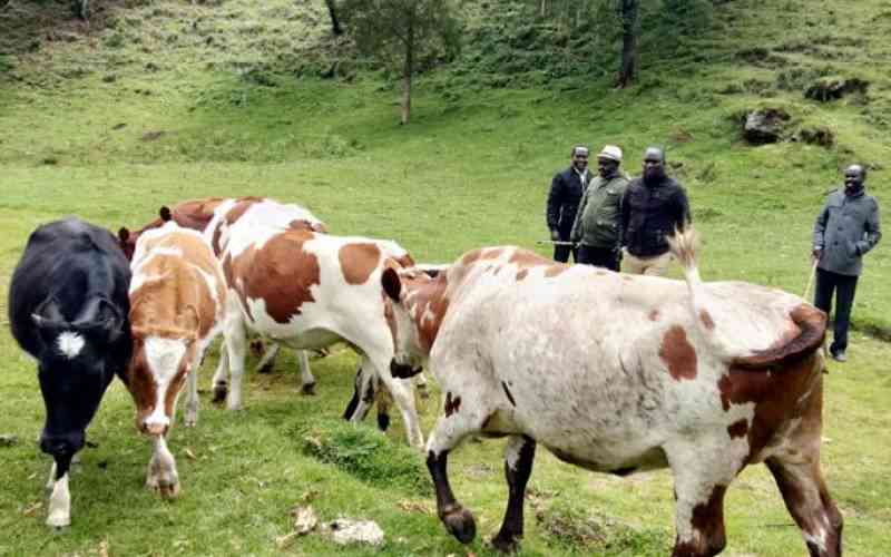 Farmers living in fear as armed gangs steal their livestock