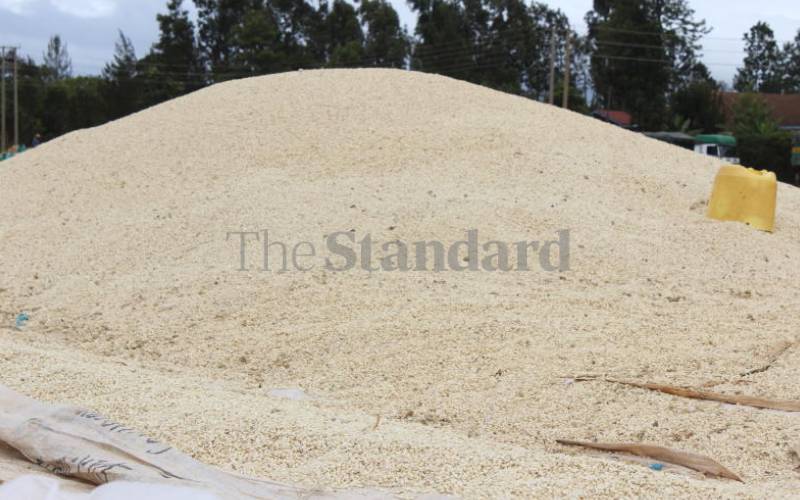 Kenya to import 540,000 tonnes of maize to avert looming shortage