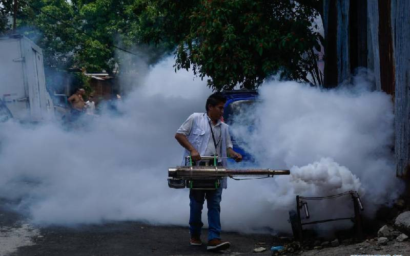Chile records 135 cases of dengue, all imported