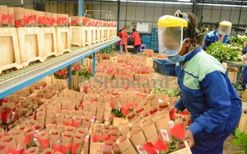 State commits to settle VAT refunds row between flower farmers and KRA