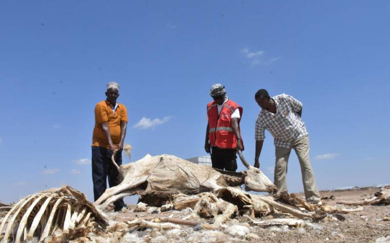 Why drought response and peace efforts should go hand in hand