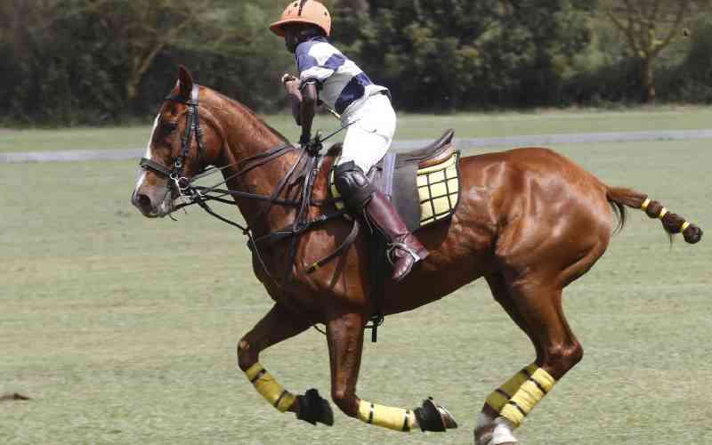 Mgamery triumphs at Davis Cup duel