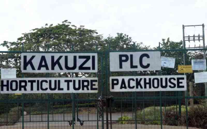 Kakuzi denies claims of blocking public roads in Murang'a