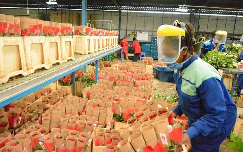 State blamed for slow growth of flower sector