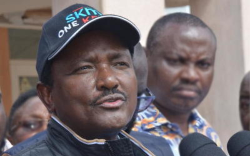 Kalonzo explains why Sudan conflict might take years to solve