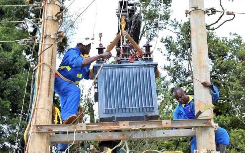 MPs blame IPP firms for high power bills
