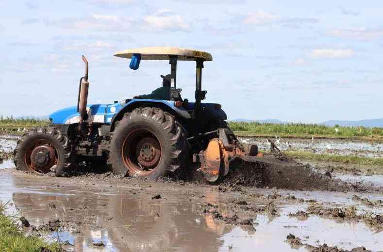 Why Africa can't win the war against hunger with donated money