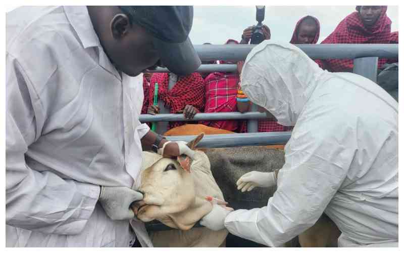 Improved veterinary regulation big boon for livestock farmers