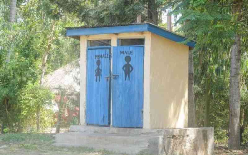 Dad's wisdom and strange economics of the toilet