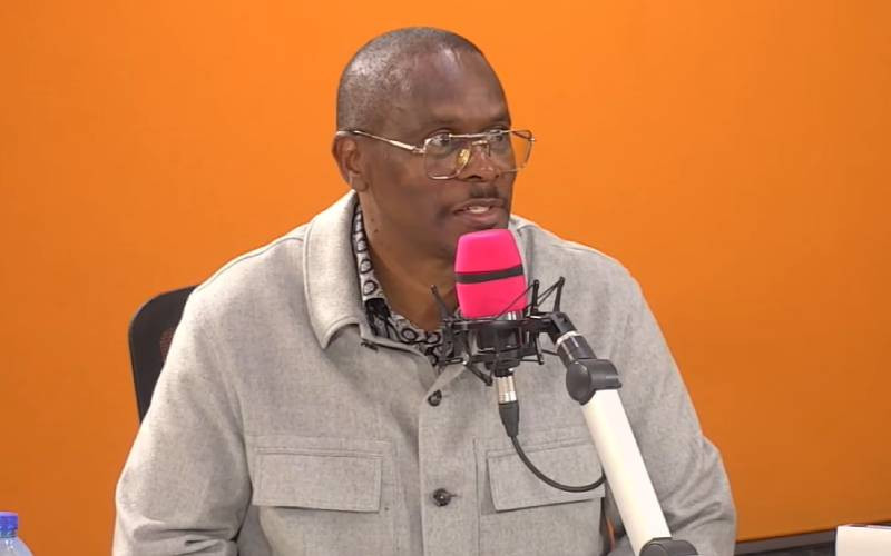 The Mt Kenya question: Why MP Kariuki says Ruto is not out yet