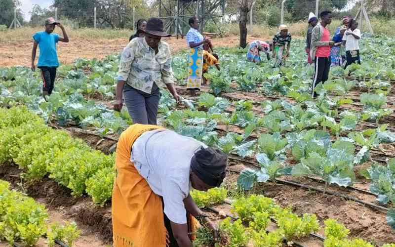 Health drive boon for Nyandarua vegetable farmers