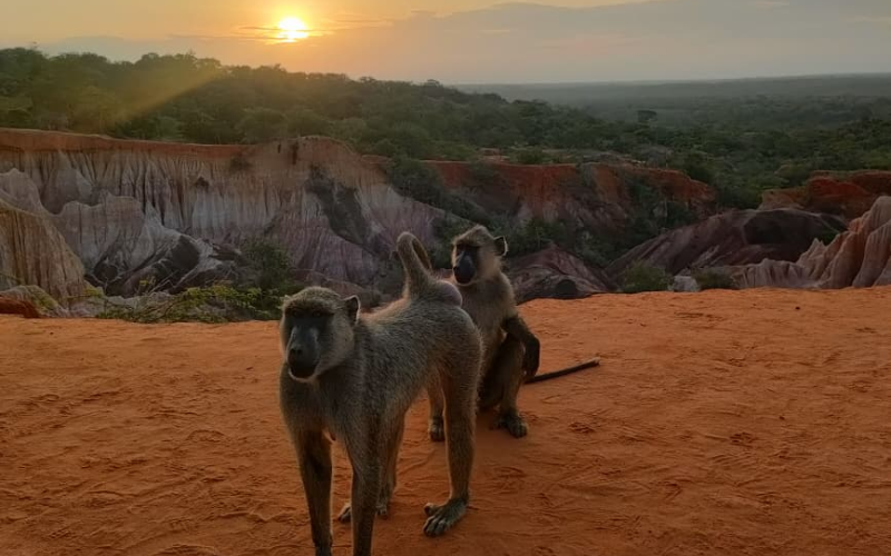 Exploring Kilifi's 'Hell's Kitchen' where punishing trek ends in breathtaking sunset