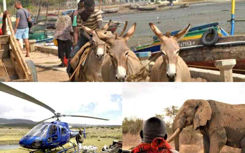 What awaits guests as East Africa's travel expo returns