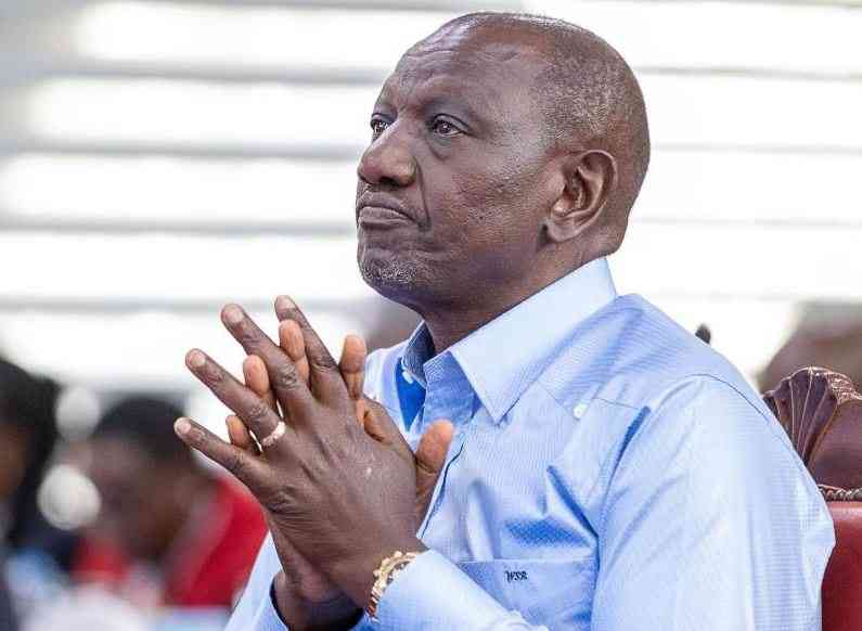 Why Diaspora Kenyans want Ruto barred from Unga