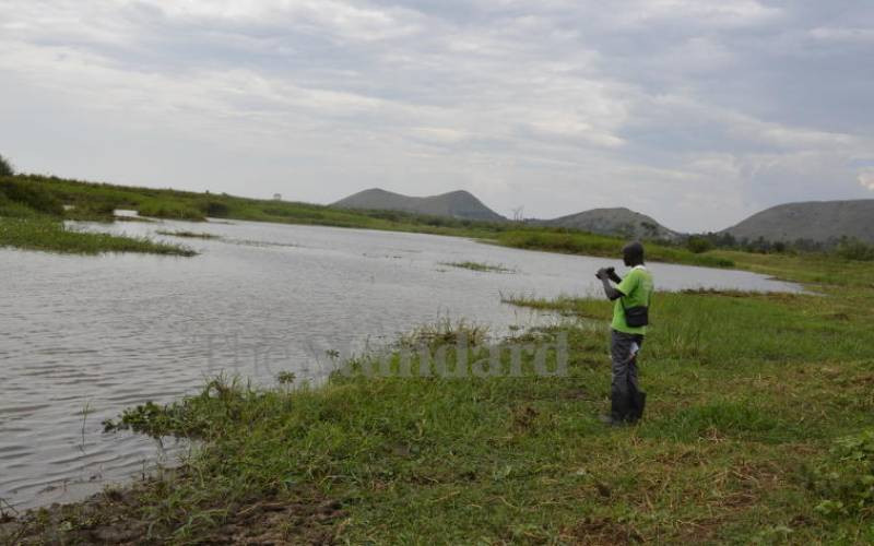 Revoke NLC's Yala land allocation, conservationists ask government