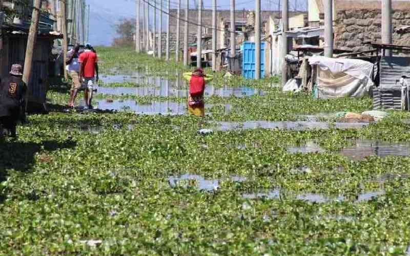 Kihoto residents urged to relocate ahead of El Nino rains as Lake Naivasha swells