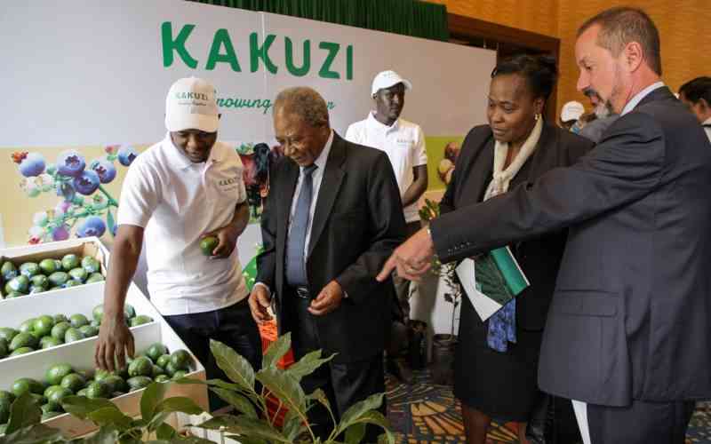 Kakuzi bets on product diversity for growth