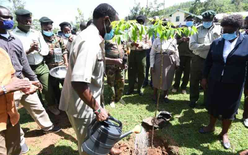 Church donates 20,000 fruit tree seedlings to boost Kisumu's conservation efforts