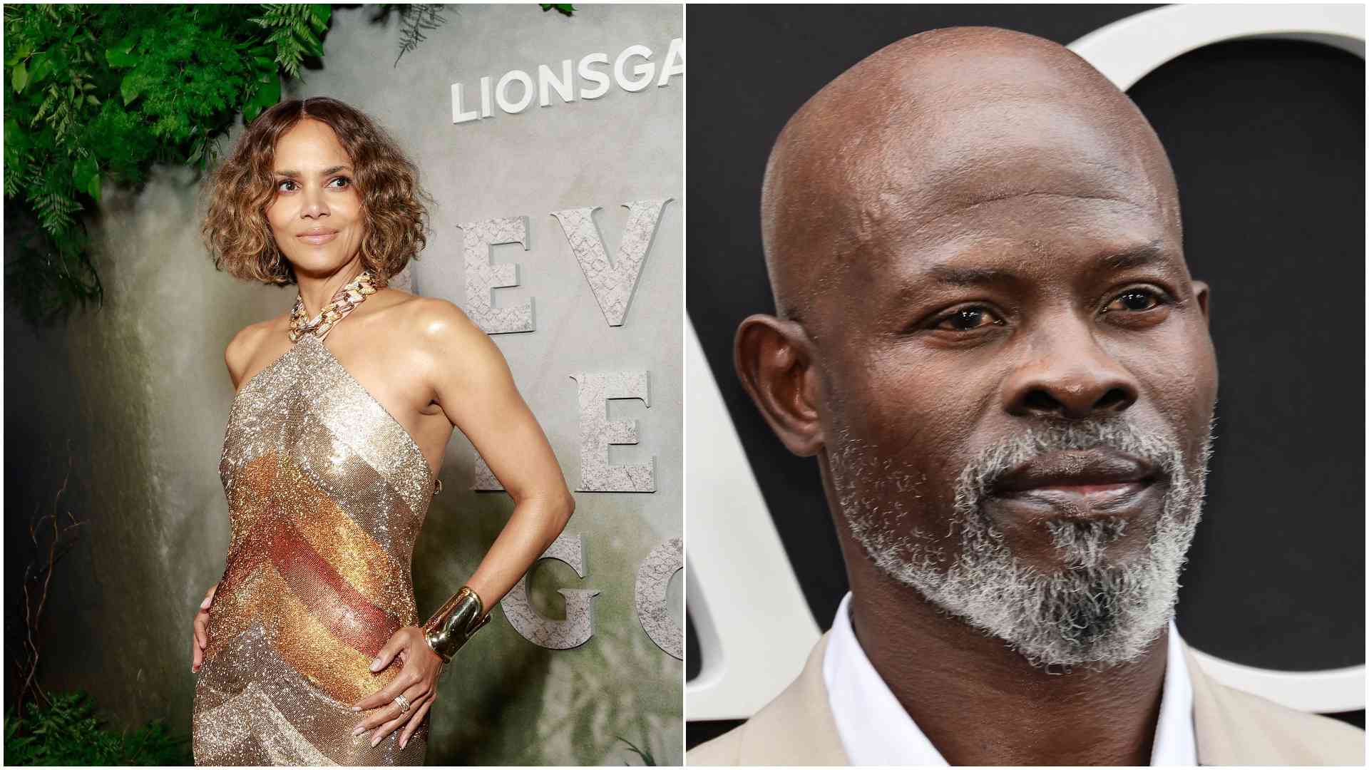 Halle Berry, Djimon Hounsou to star in Hollywood thriller 'Red Card' shot at Maasai Mara