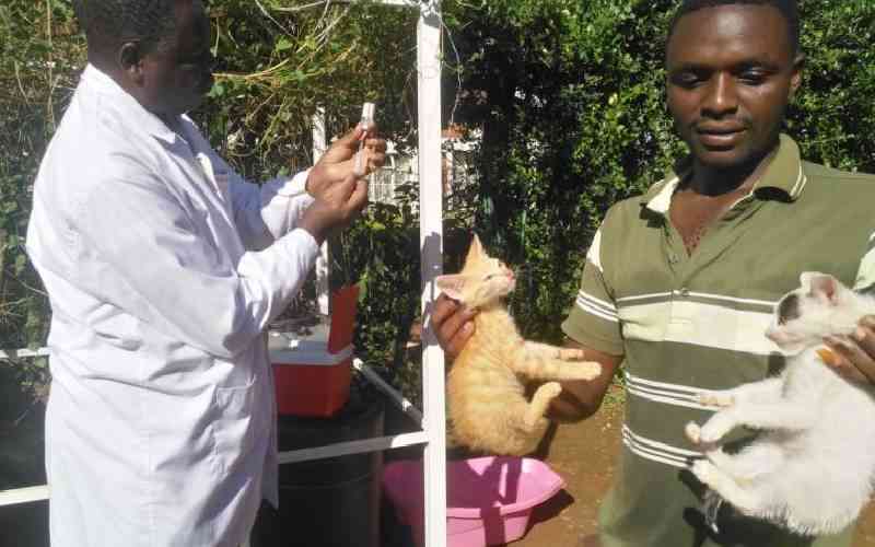 Health experts push for integrated health action