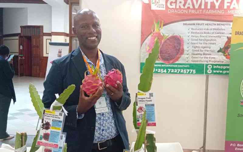 Desert Gold: The high-return fruit transforming arid Kenya