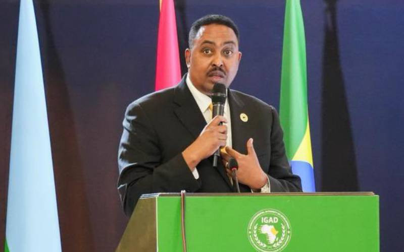 IGAD mourns victims of North Darfur landslide
