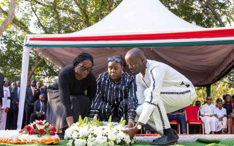 The 2007 post-election violence and my enduring love for Raila