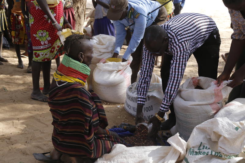 Turkana County in dire need of emergency food: Report