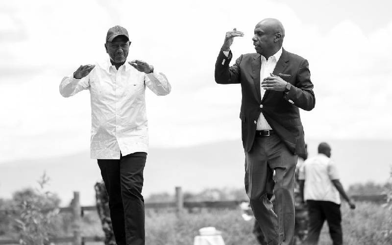 Inside Ruto's soft landing in Kabarak