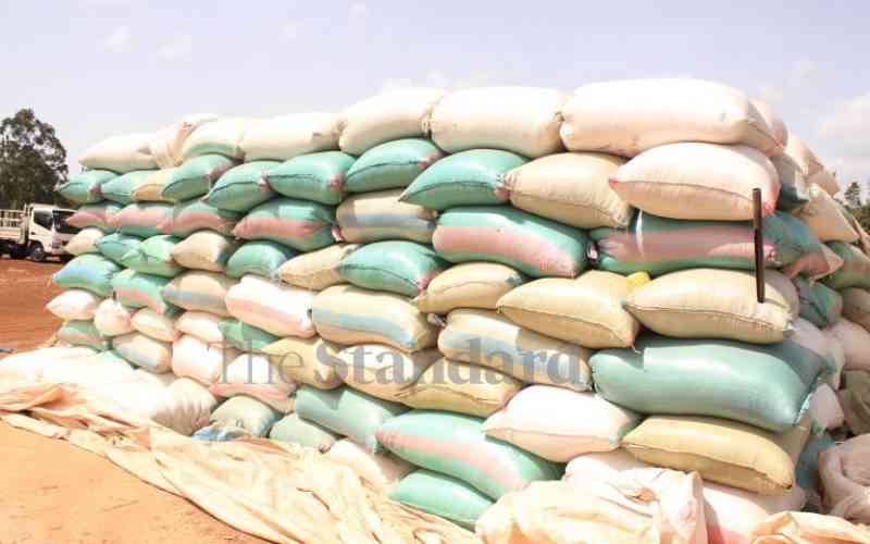 West Pokot traders, residents seek permission to import cheap maize from Uganda