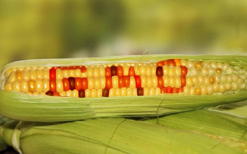 Voodoo theorists, know-it-alls now scaring everybody on GMOs