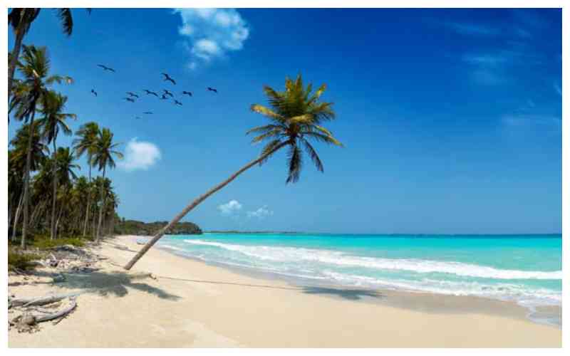 Love, Lies and Lost Fortunes: The High Cost of Romance at Kenya's Coast