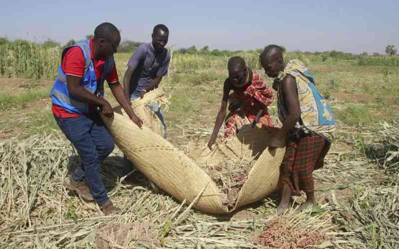 Malnutrition, obesity persist among African children